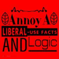 Funny Conservative MAGA Republican Anti Liberal Santa Hat thumb 1