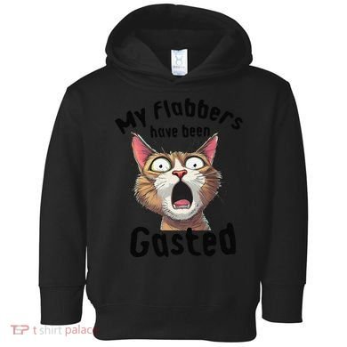 Funny Cat My Flabbers Have Been Gasted Retro Graphic Cute Toddler Hoodie