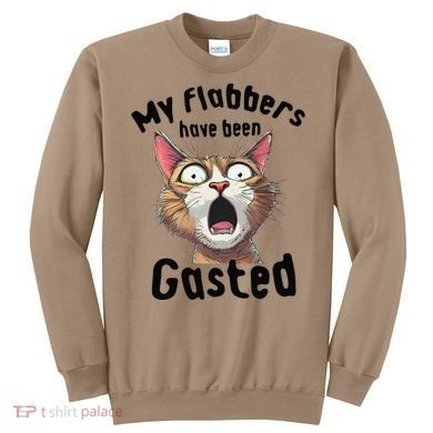 Funny Cat My Flabbers Have Been Gasted Retro Graphic Cute Sweatshirt