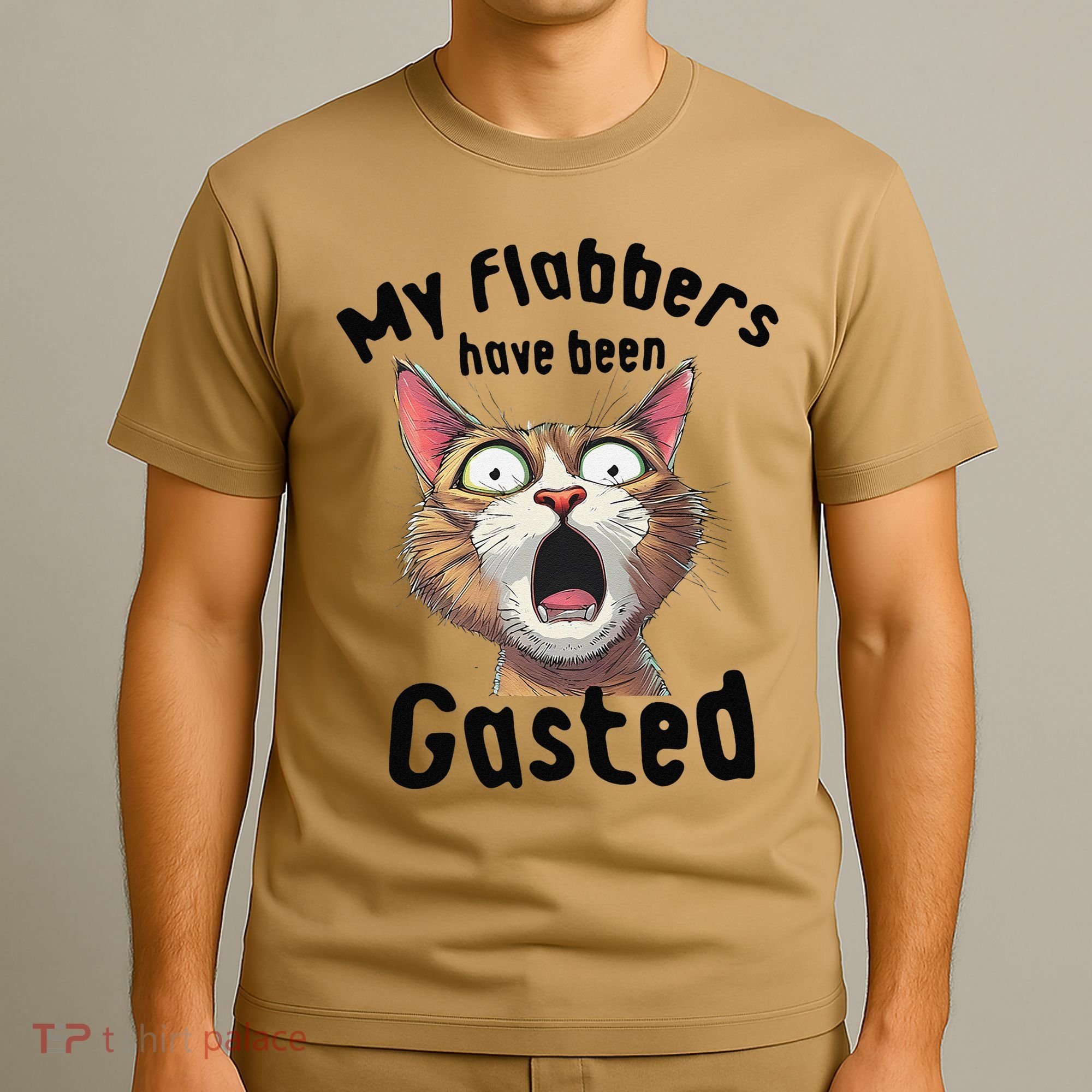 Funny Cat My Flabbers Have Been Gasted Retro Graphic Cute T-Shirt