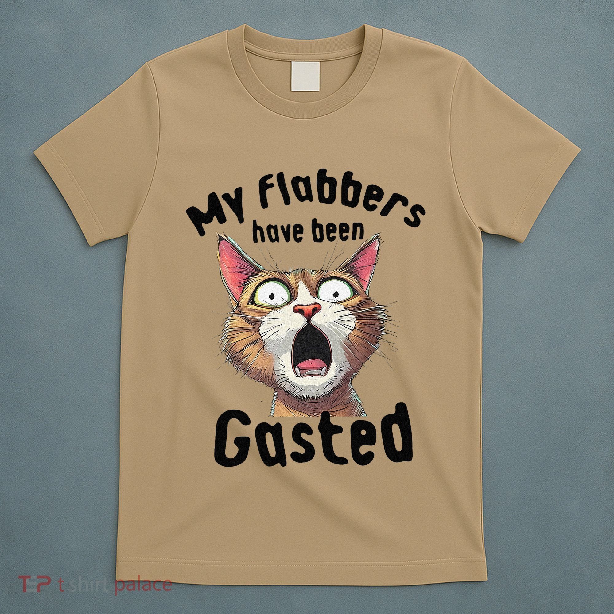 Funny Cat My Flabbers Have Been Gasted Retro Graphic Cute T-Shirt