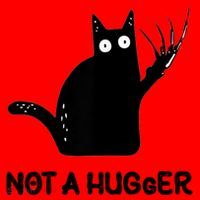 Funny Cat Not A Hugger Sarcastic Cat Saying Santa Hat thumb 1