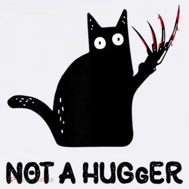 Funny Cat Not A Hugger Sarcastic Cat Saying Women's Long Sleeve Shirt
