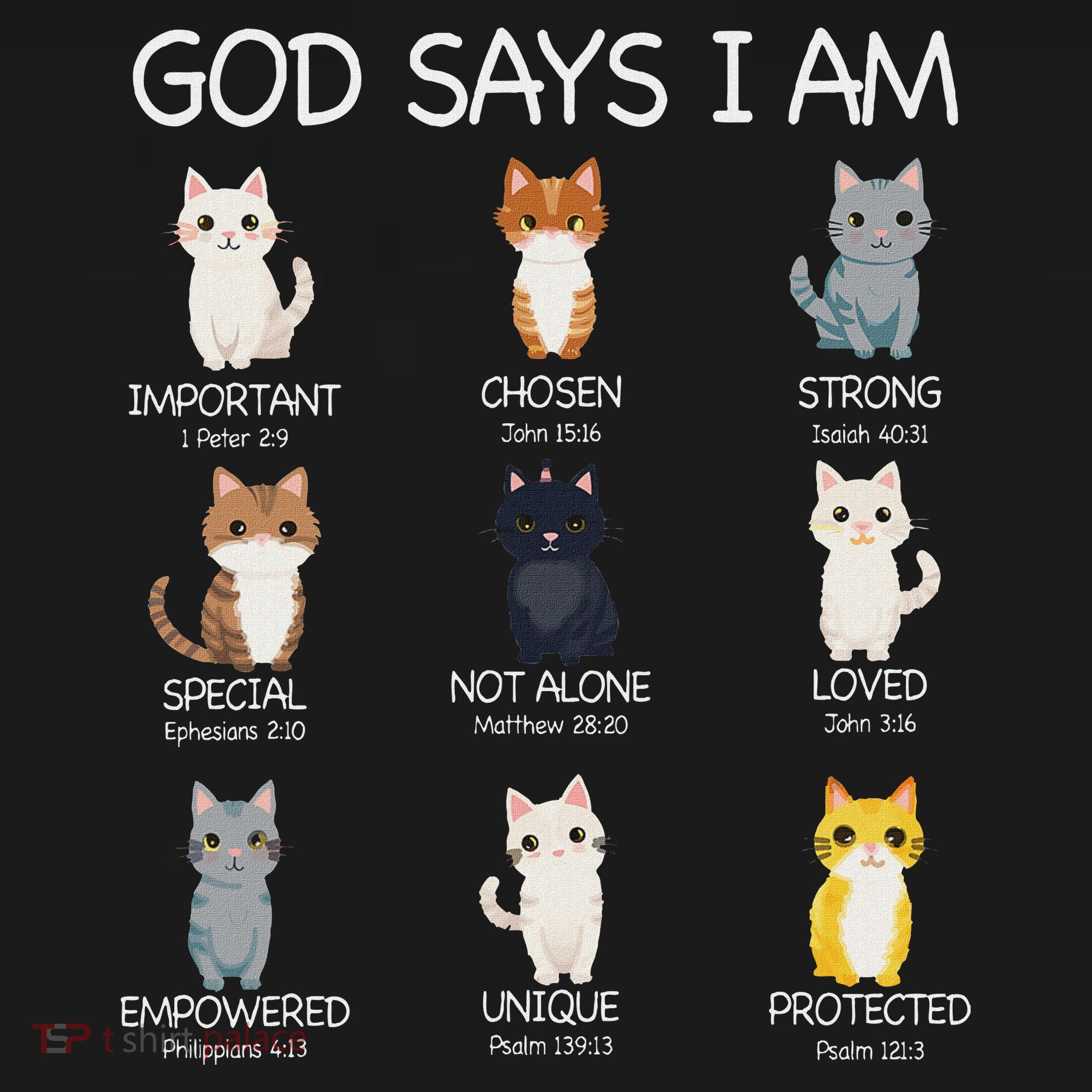 Funny Cat Ns God Says I Am Christian Cat Lover Women's Hoodie