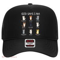 Funny Cat Ns God Says I Am Christian Cat Lover Hat thumb 0