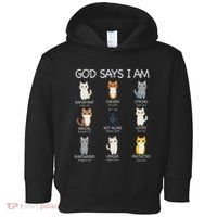 Funny Cat Ns God Says I Am Christian Cat Lover Toddler Hoodie thumb 0