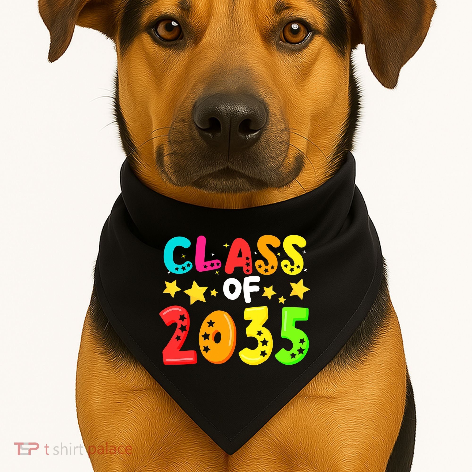 Funny Class Of 2035 Kindergarten Back To School USA-Made Doggie Bandana