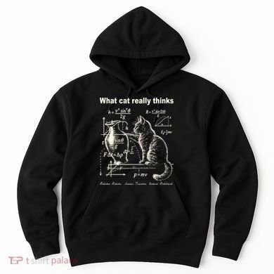 Funny Cat Physics Humor Design What Cats Really Thinks Hoodie