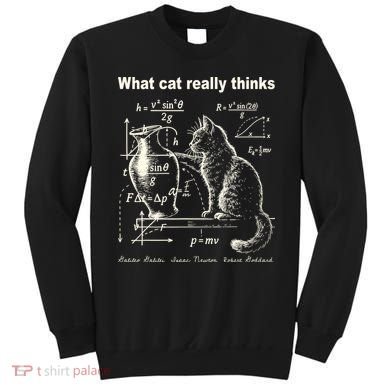 Funny Cat Physics Humor Design What Cats Really Thinks Sweatshirt