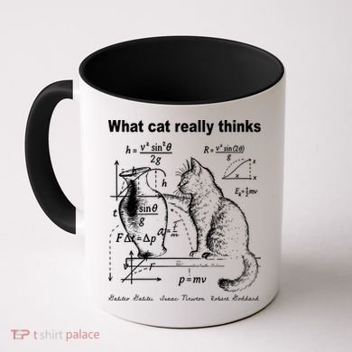 Funny Cat Physics Humor Design What Cats Really Thinks Coffee Mug