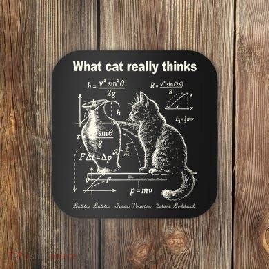 Funny Cat Physics Humor Design What Cats Really Thinks Coaster