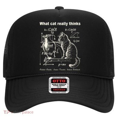 Funny Cat Physics Humor Design What Cats Really Thinks Hat