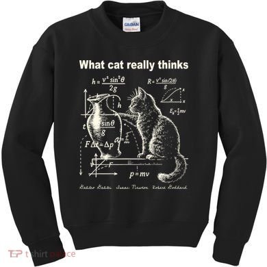 Funny Cat Physics Humor Design What Cats Really Thinks Kids Sweatshirt