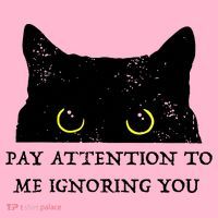 Funny Cat Pay Attention To Me Ignoring You Sarcastic Cat Mom Coaster thumb 2