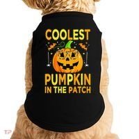 Funny Coolest Pumpkin In The Patch Funny Halloween Doggie Tank thumb 0