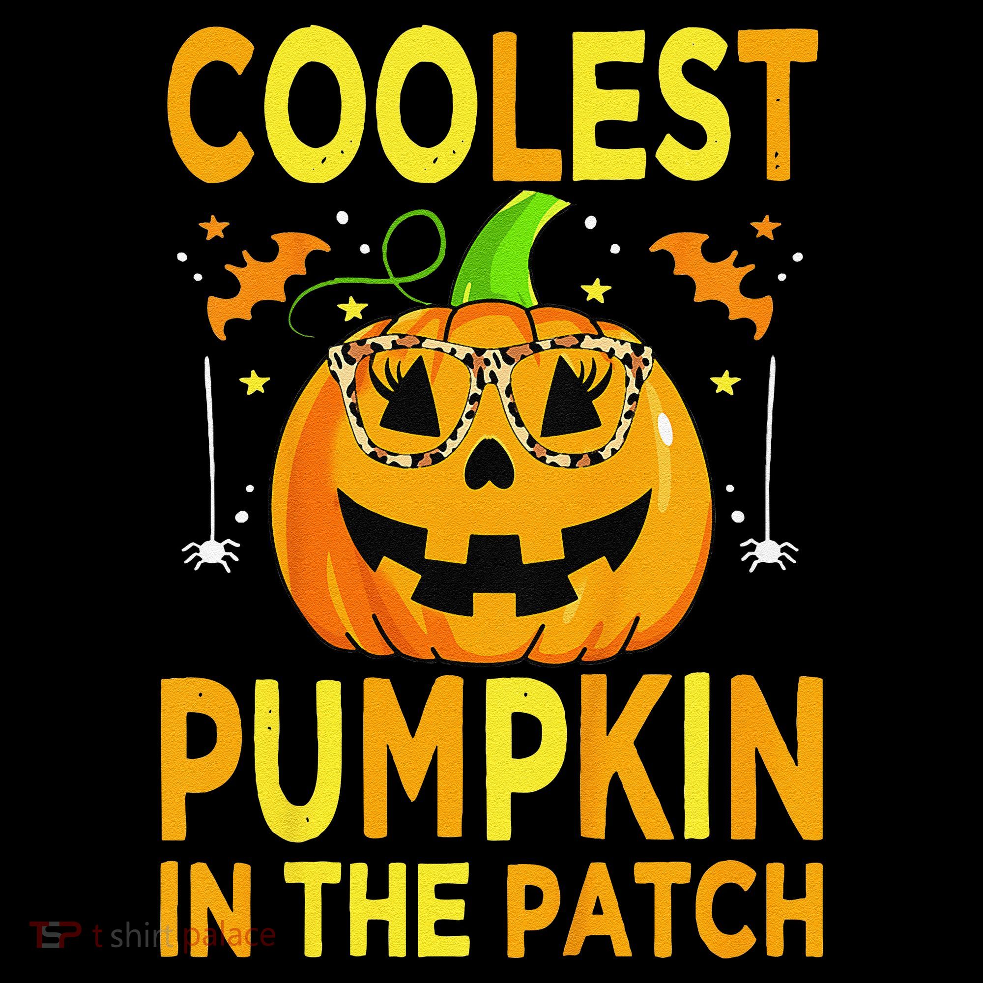 Funny Coolest Pumpkin In The Patch Funny Halloween Women's Hoodie