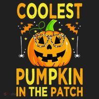 Funny Coolest Pumpkin In The Patch Funny Halloween Hat thumb 2