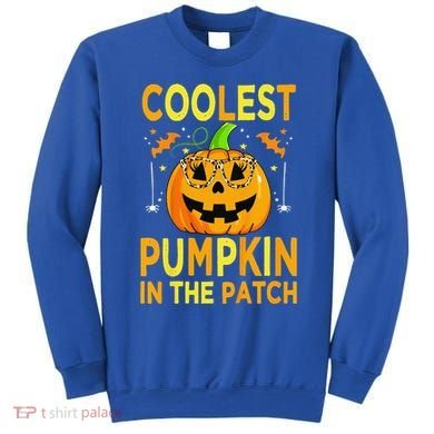 Funny Coolest Pumpkin In The Patch Funny Halloween Sweatshirt