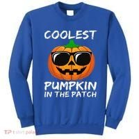 Funny Coolest Pumpkin In The Patch Halloween Funny Sweatshirt thumb 0