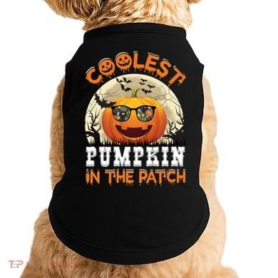 Funny Coolest Pumpkin In The Patch Halloween Graphic Gift Doggie Tank