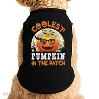 Funny Coolest Pumpkin In The Patch Halloween Graphic Gift Doggie Tank thumb 0