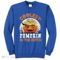 Funny Coolest Pumpkin In The Patch Halloween Graphic Gift Sweatshirt thumb 0