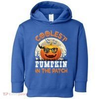 Funny Coolest Pumpkin In The Patch Halloween Graphic Gift Toddler Hoodie thumb 0