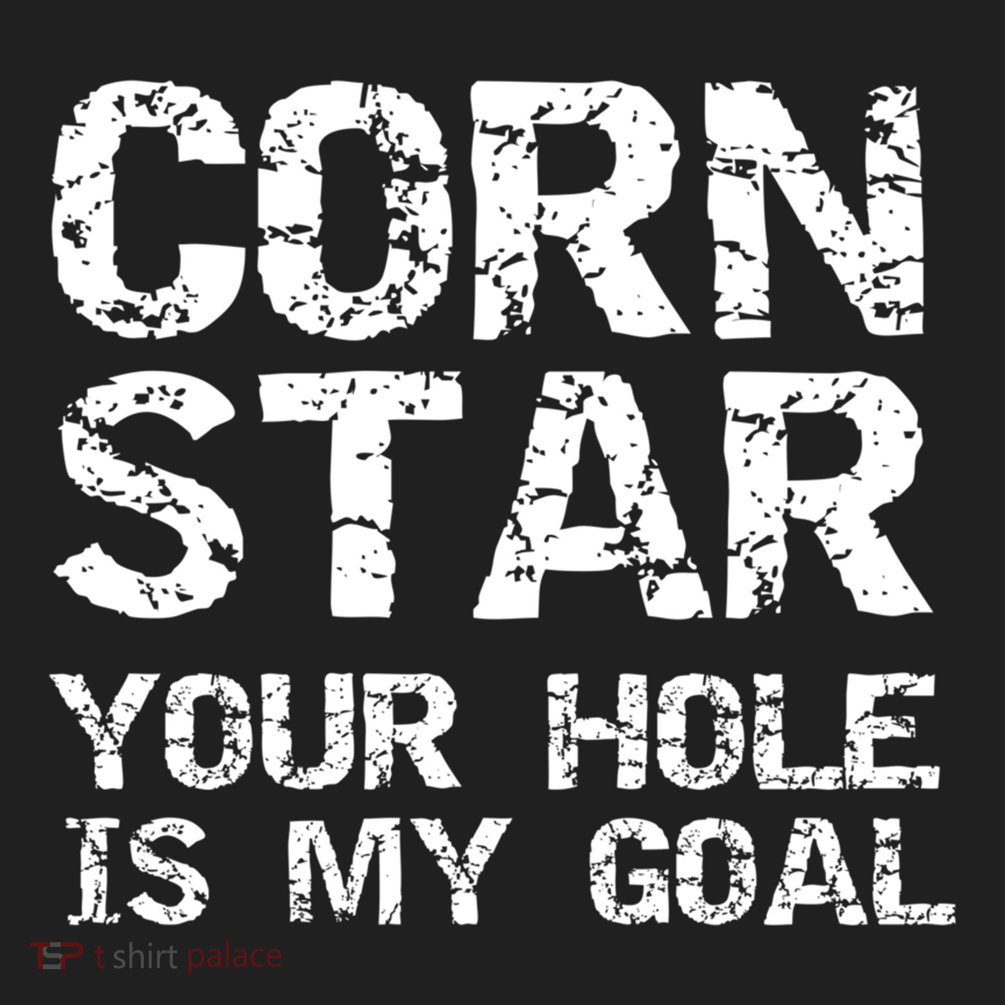 Funny Cornhole Pun Gift Quote Corn Star Your Hole Is My Goal Gift Beanie