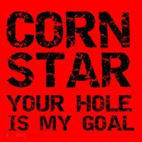 Funny Cornhole Pun Gift Quote Corn Star Your Hole Is My Goal Gift Santa Hat thumb 1