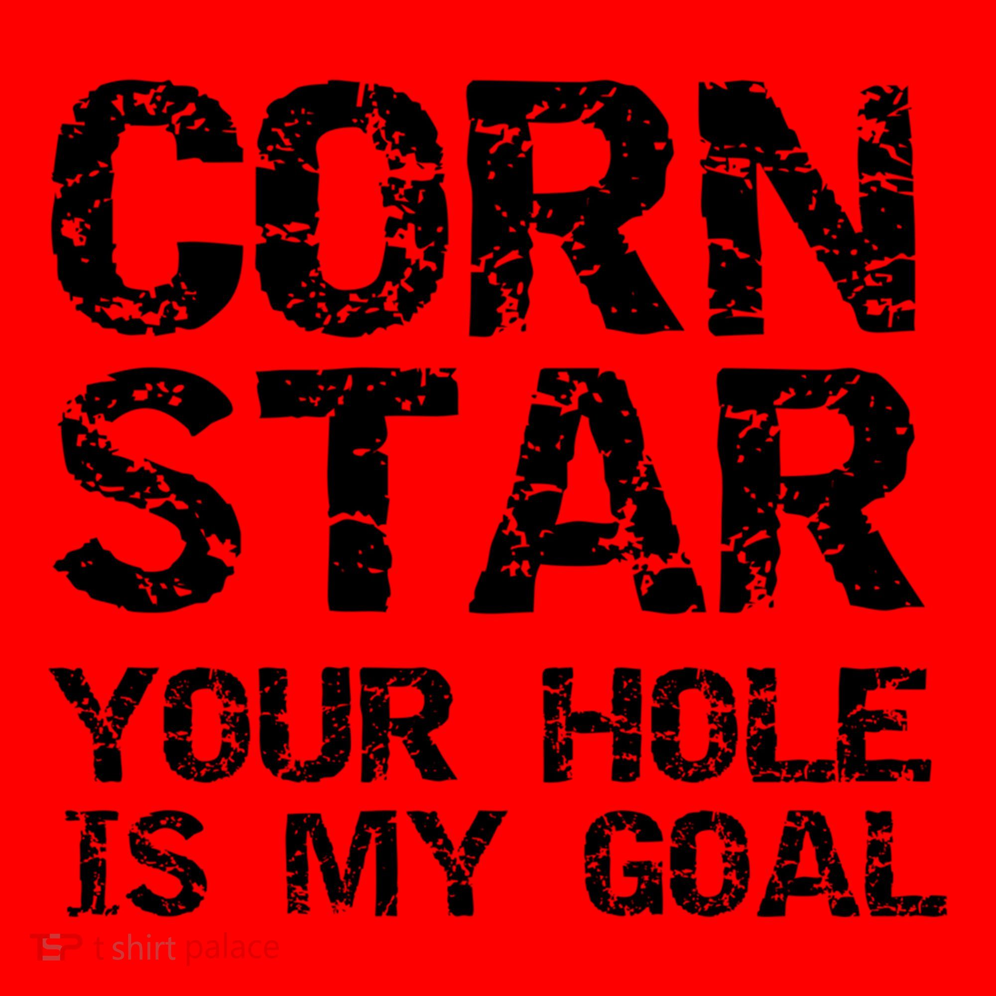 Funny Cornhole Pun Gift Quote Corn Star Your Hole Is My Goal Gift Santa Hat