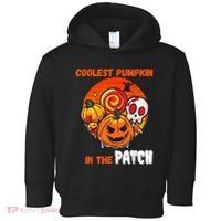 Funny Coolest Pumpkin In The Patch Halloween Boy Girls Kid Toddler Hoodie thumb 0