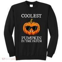 Funny Coolest Pumpkin In The Patch Cute Glassess Halloween Gift Sweatshirt thumb 0
