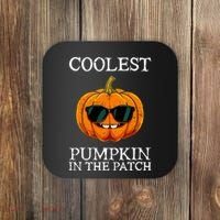 Funny Coolest Pumpkin In The Patch Cute Glassess Halloween Gift Coaster thumb 0