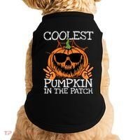 Funny Coolest Pumpkin In The Patch Halloween Gift Doggie Tank thumb 0