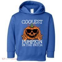 Funny Coolest Pumpkin In The Patch Halloween Gift Toddler Hoodie thumb 0