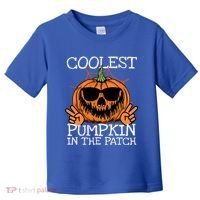 Funny Coolest Pumpkin In The Patch Halloween Gift Toddler T-Shirt thumb 0