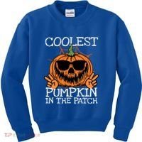 Funny Coolest Pumpkin In The Patch Halloween Gift Kids Sweatshirt thumb 0