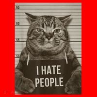Funny Cat Police Mugshot I Hate People Santa Hat thumb 1