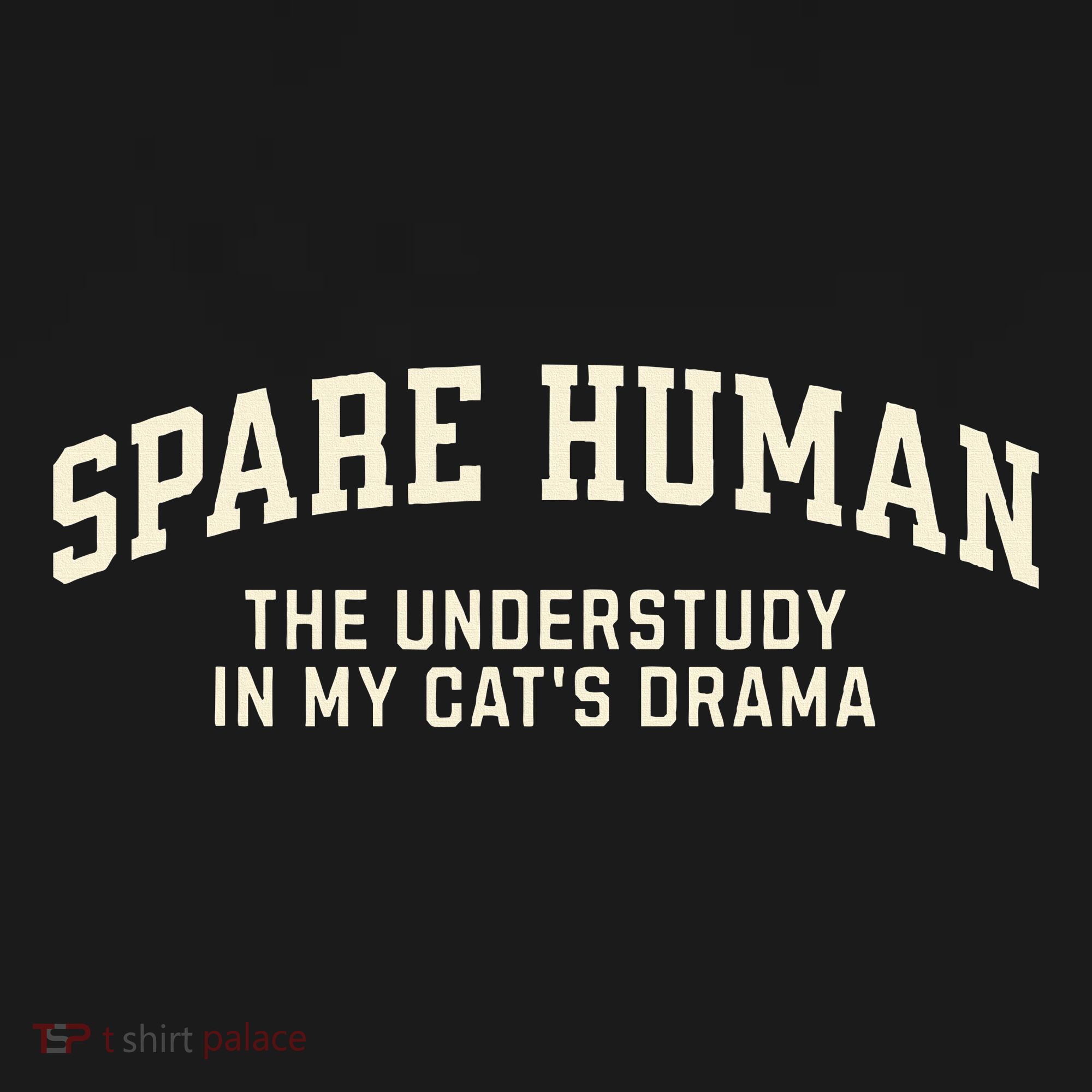 Funny Cat Parent Spare Human Sarcastic Ornament