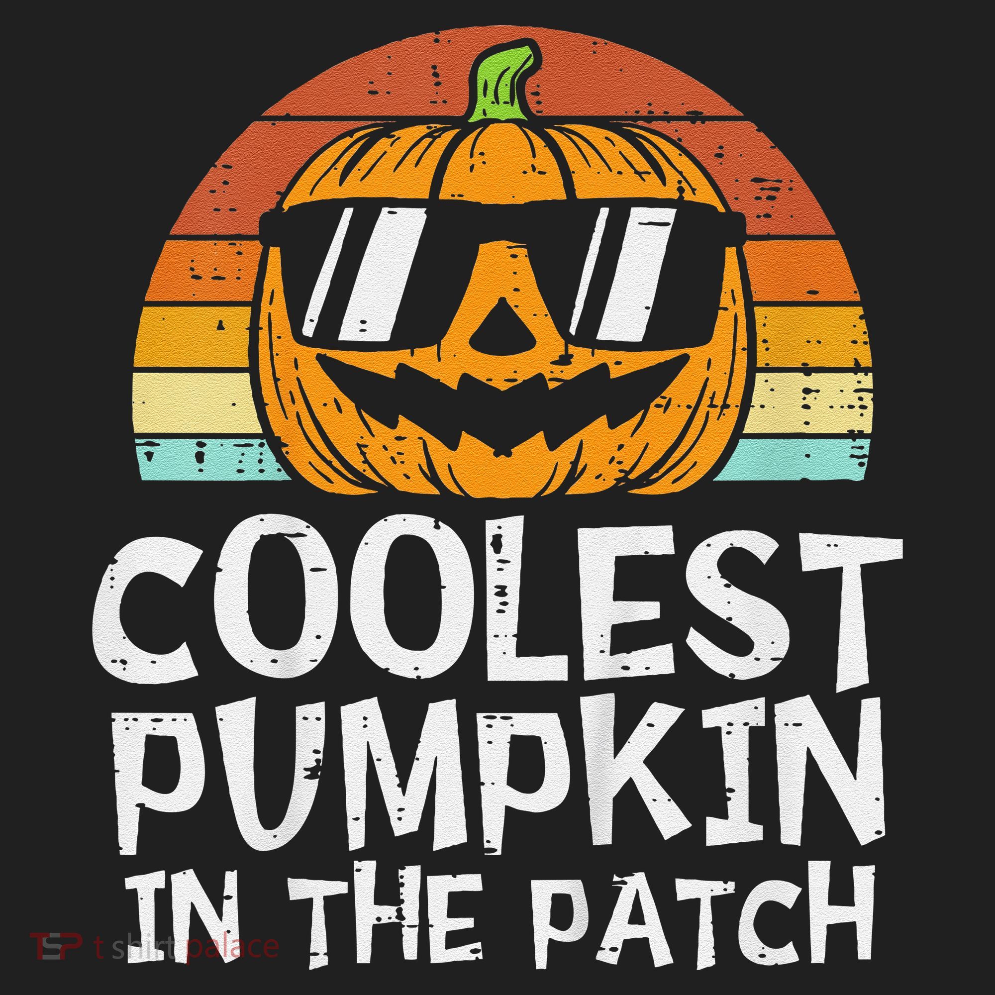 Funny Coolest Pumpkin In The Patch Halloween Hat