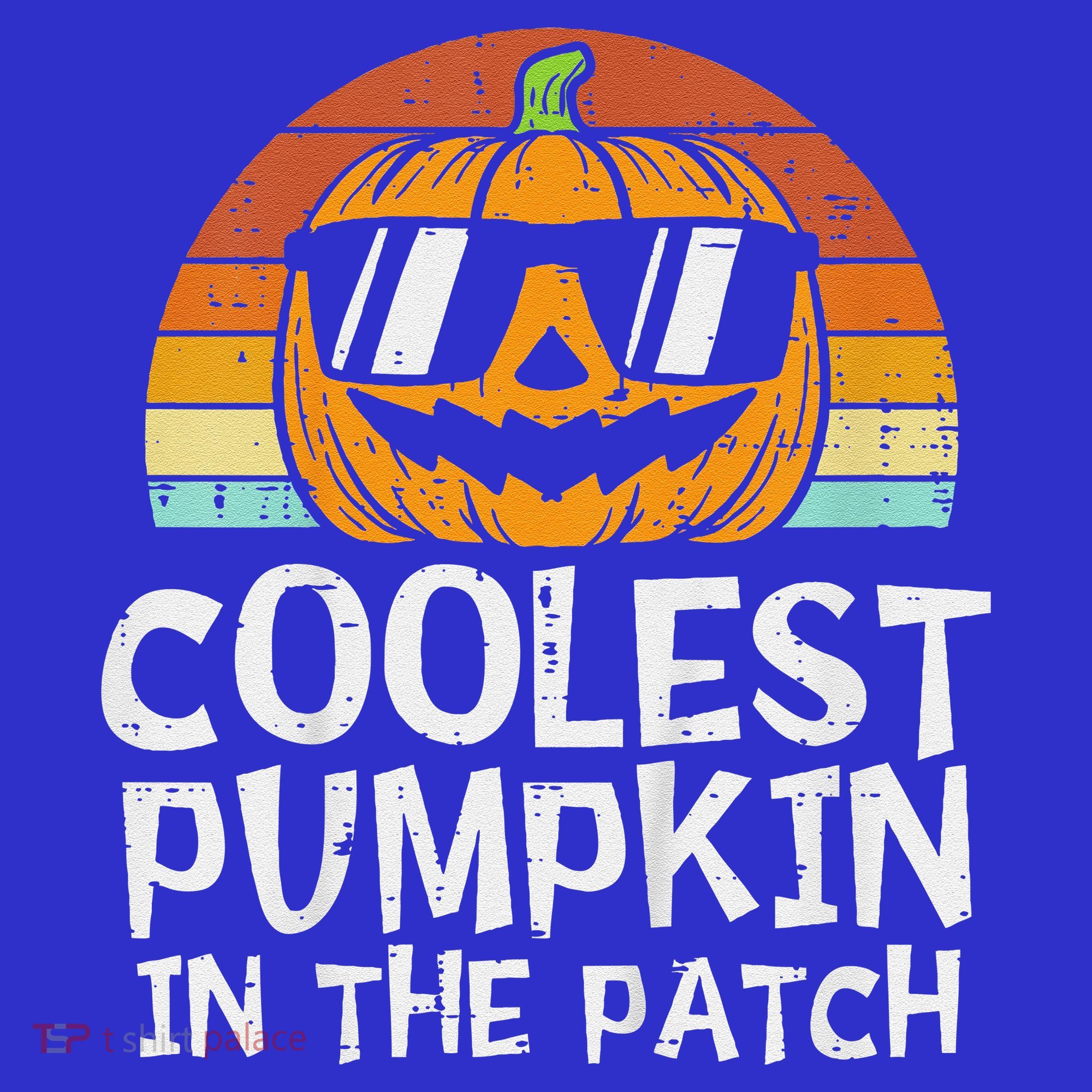 Funny Coolest Pumpkin In The Patch Halloween Women's Long Sleeve Shirt