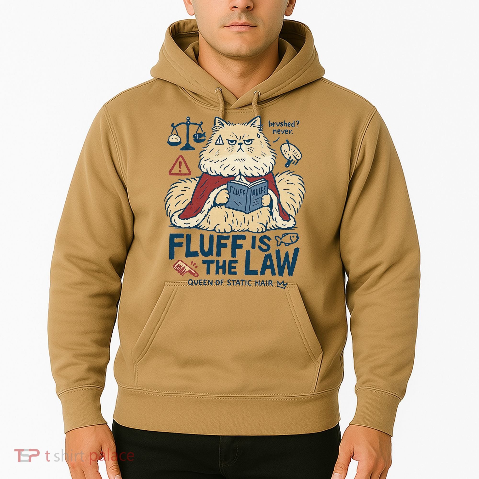 Fluffy Cat Queen Of Static Hair Gift Hoodie