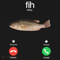 Fih Calling Remind Me Message Decline Accept Phone Call Fish USA-Made Doggie Bandana thumb 2