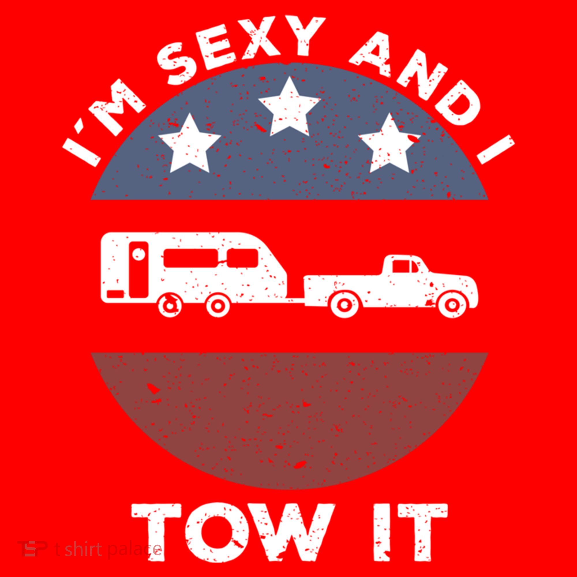 Funny Camping Rv Im Sexy And I Tow It Gift Santa Hat