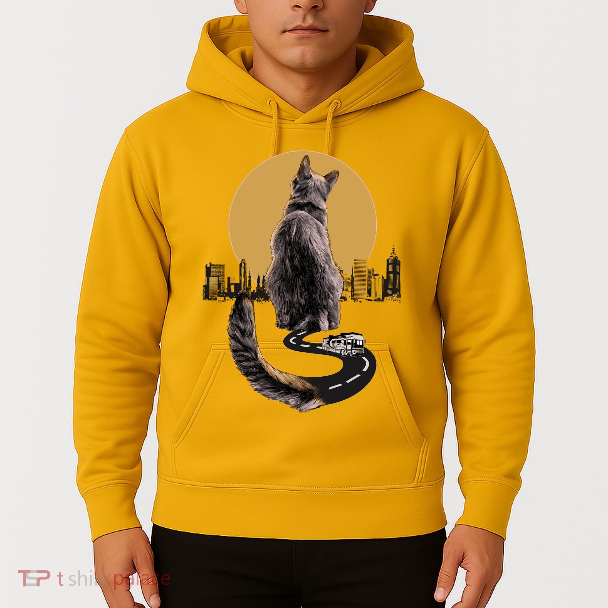 Funny City Road Highway Cat Hoodie