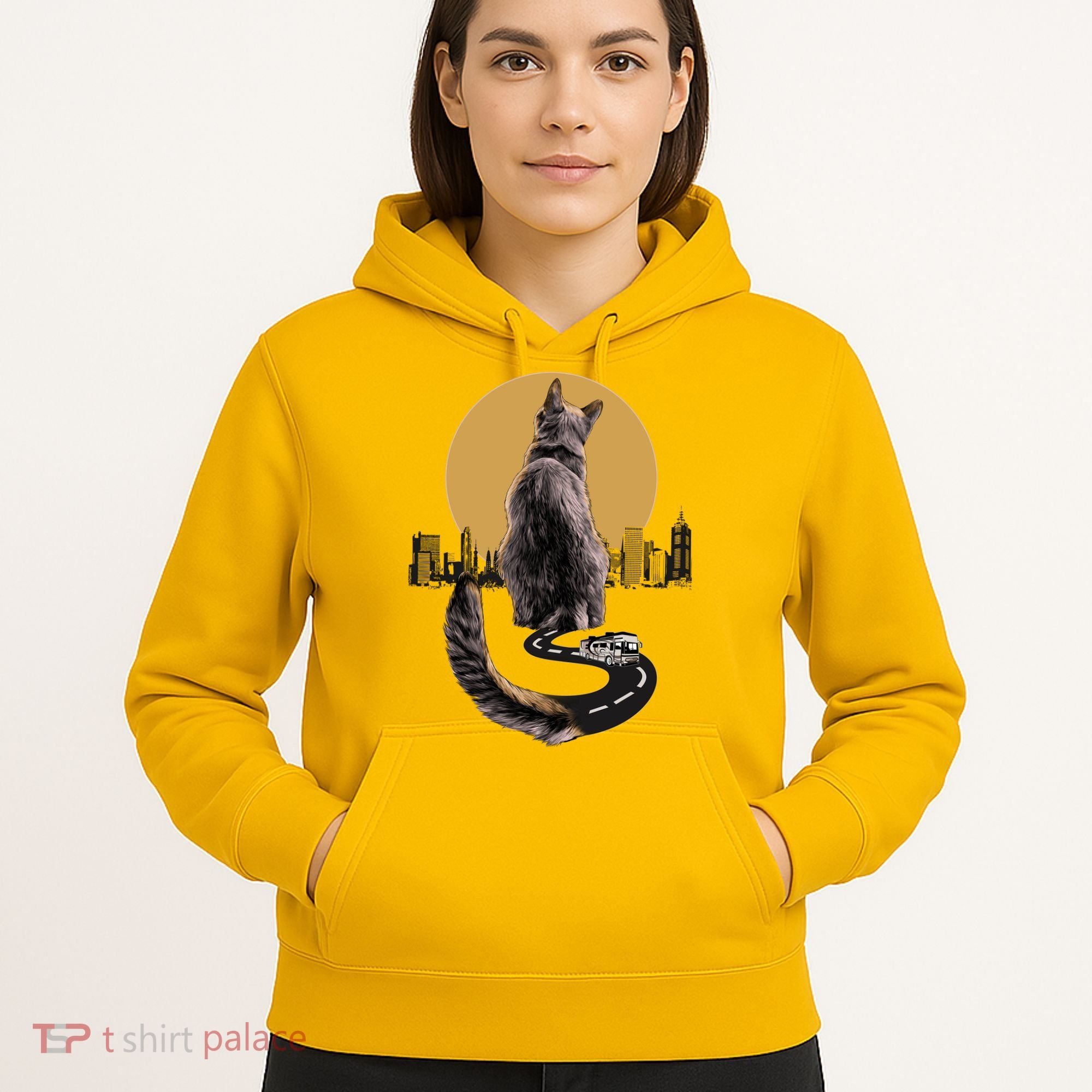 Funny City Road Highway Cat Hoodie
