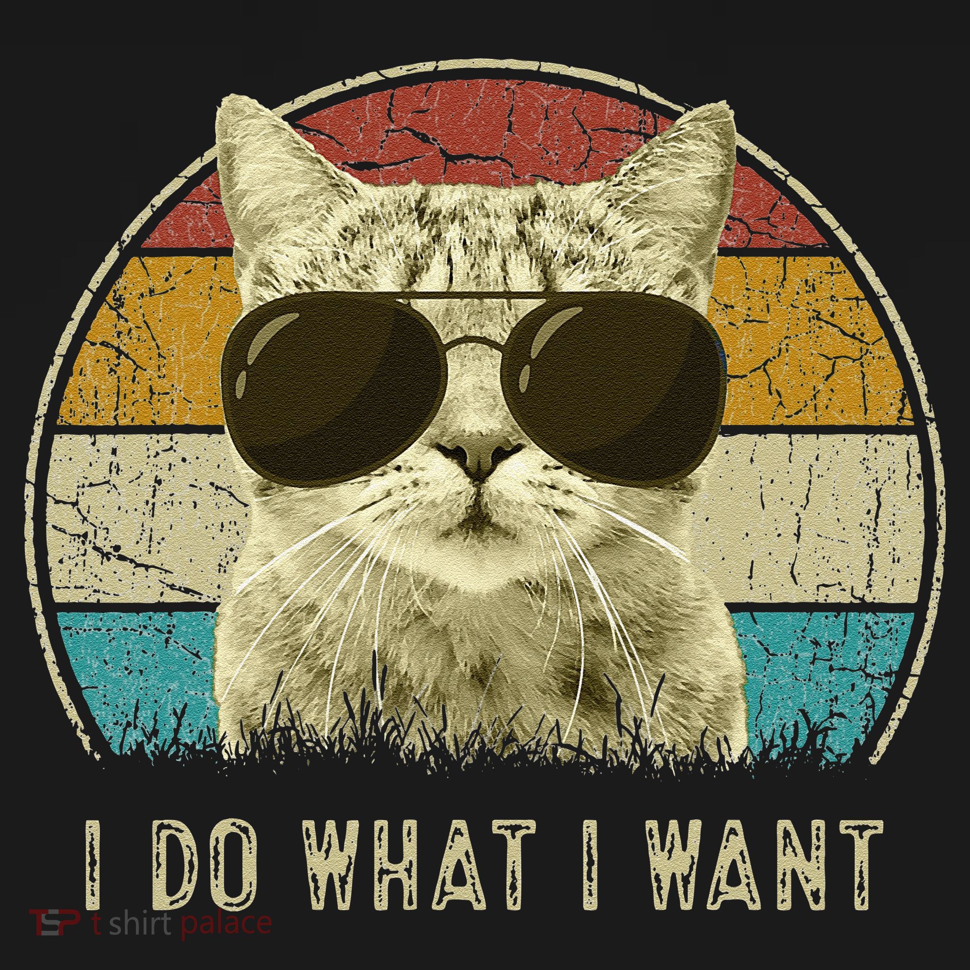 Funny Cat Retro Cats Lover I Do What I Want Women's Hoodie