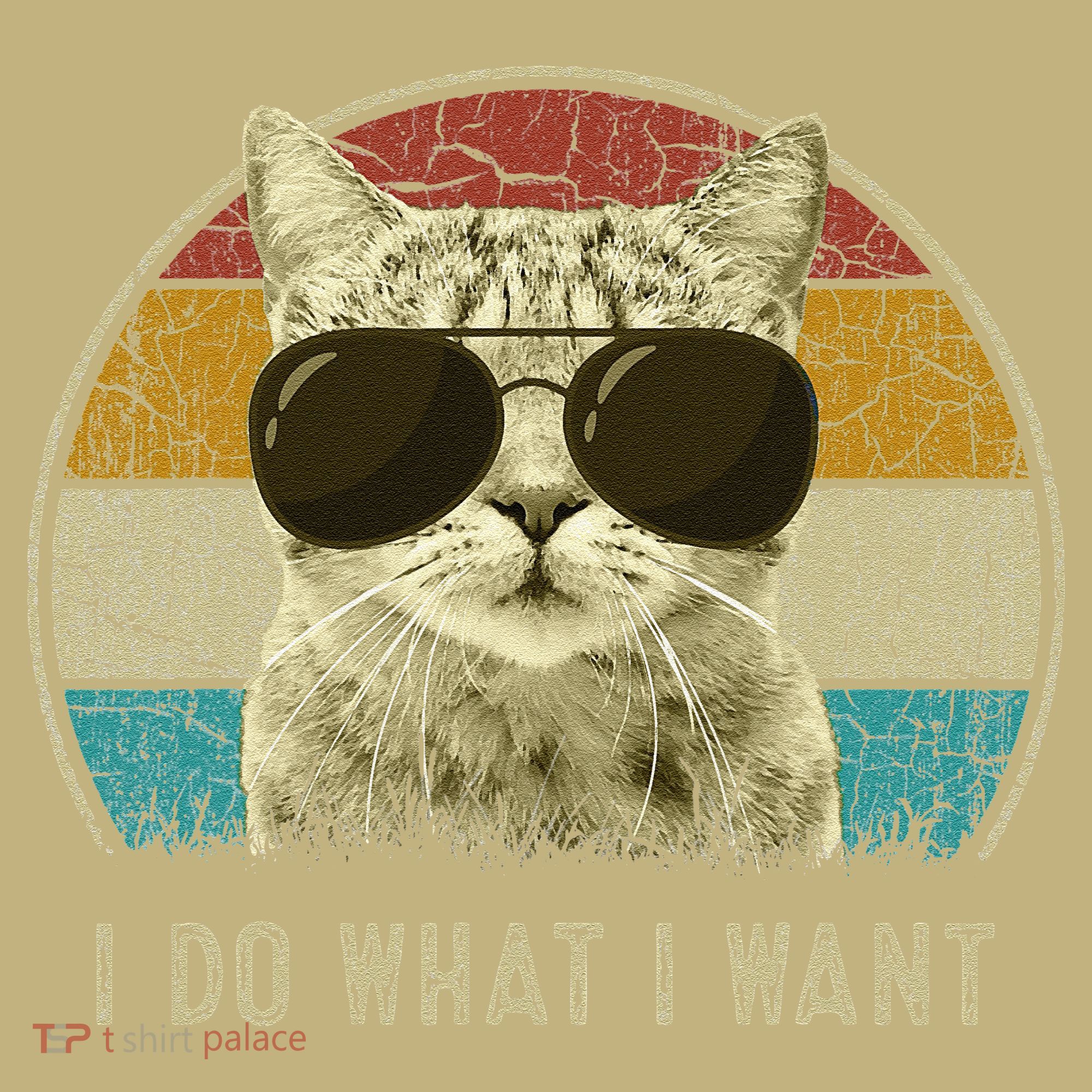 Funny Cat Retro Cats Lover I Do What I Want Sweatshirt