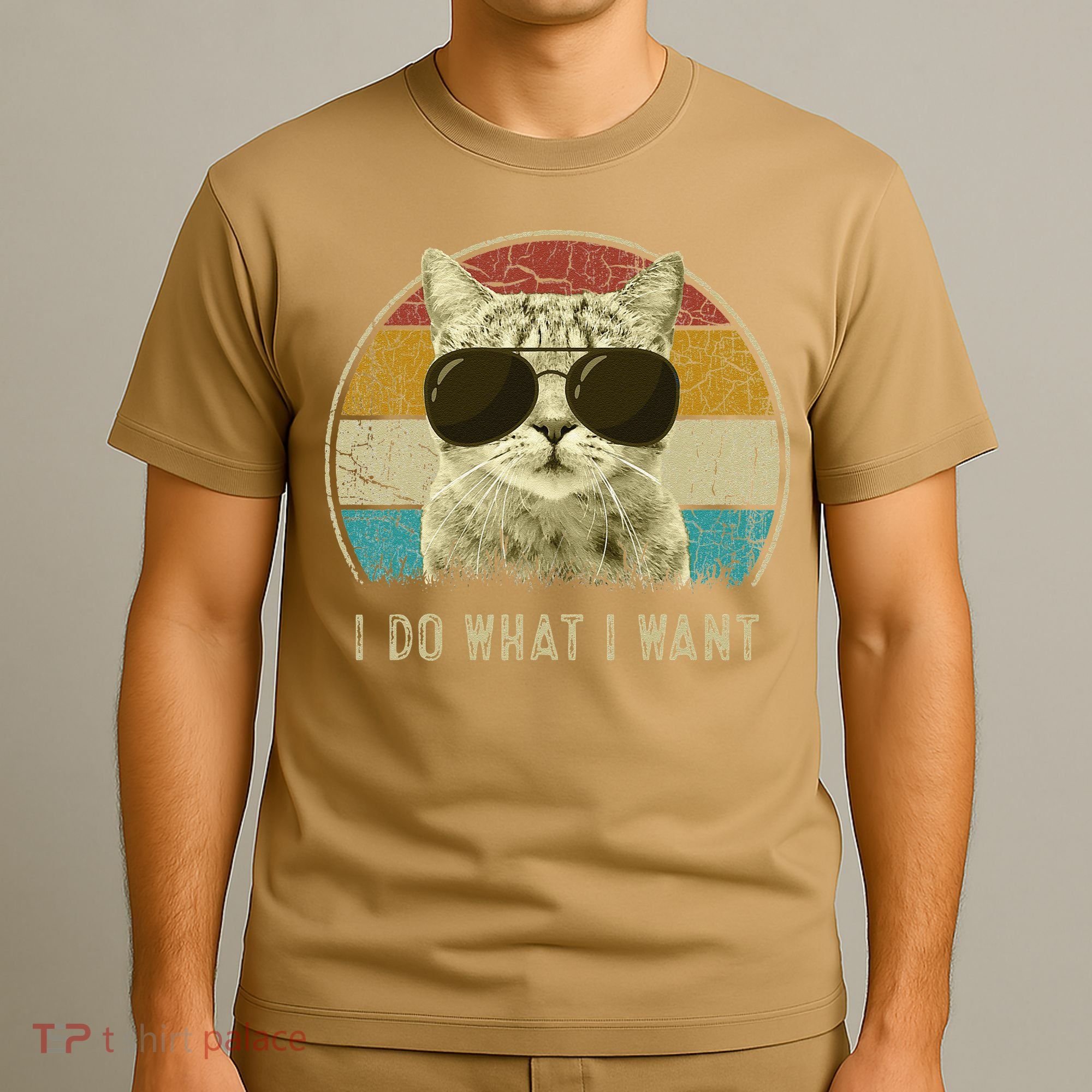 Funny Cat Retro Cats Lover I Do What I Want T-Shirt