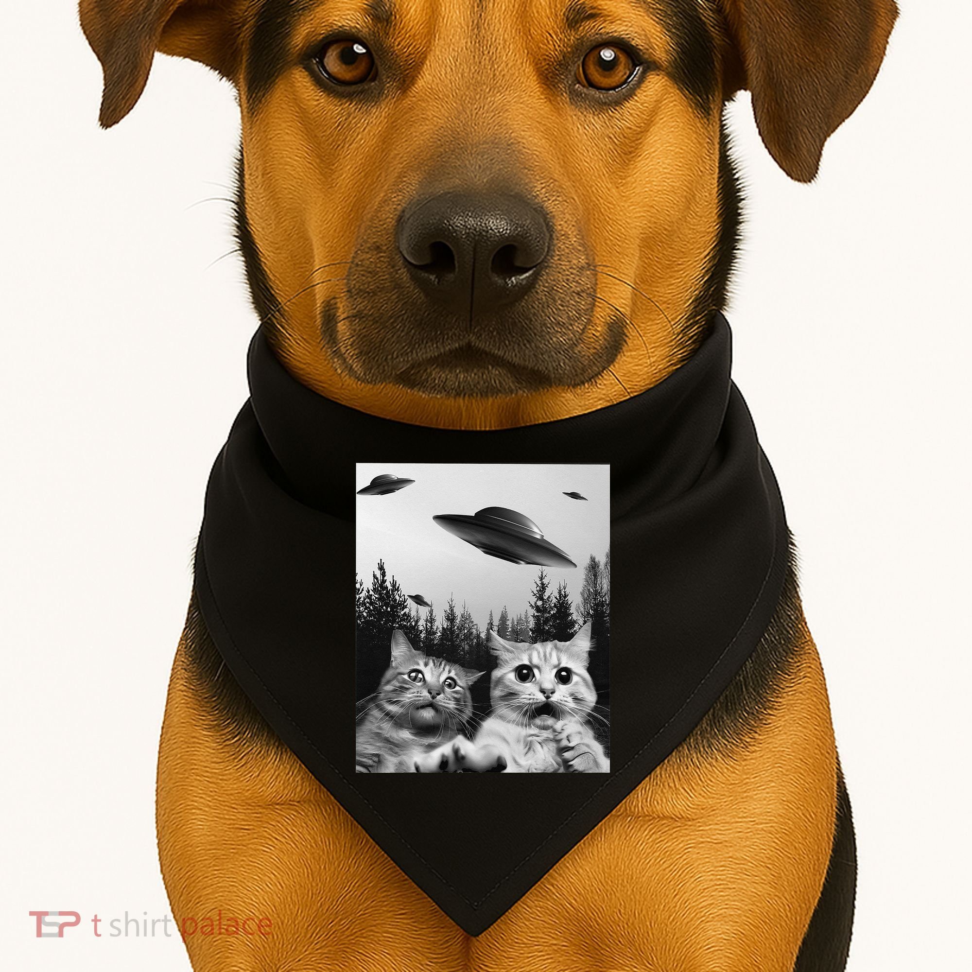 Funny Cat Selfie with UFOs USA-Made Doggie Bandana